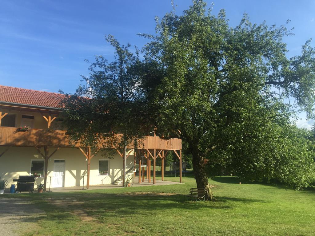 Penzion U Novaku Hotel Kozli u Orlika Exterior photo